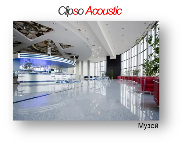 Клипсо акустик