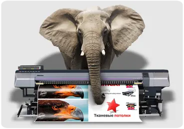 Потолки натяжные фотопечать